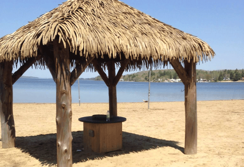 plage pins gris